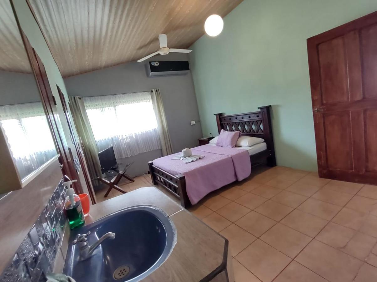 The Corner Airbnb Puerto Jiménez エクステリア 写真